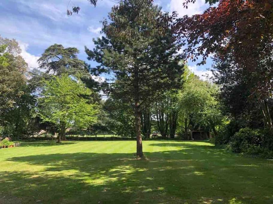 Escape To Ash House 18Th Century Manor In Somerset Martock Extérieur photo