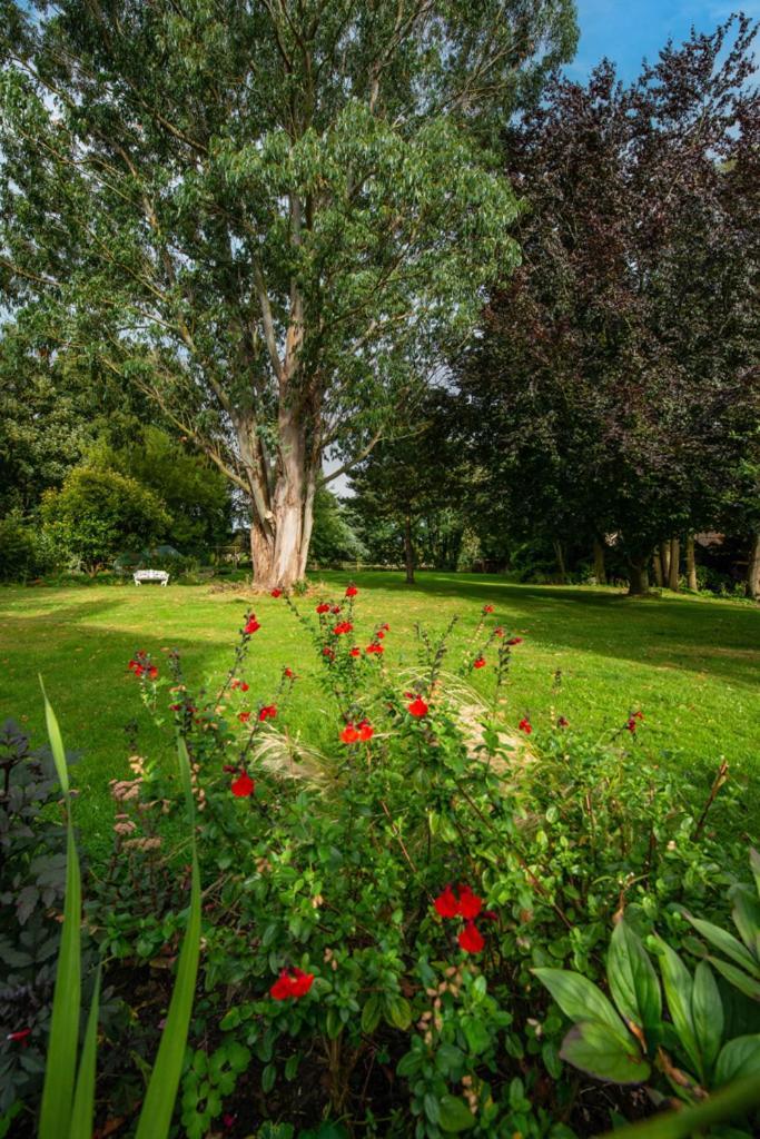Escape To Ash House 18Th Century Manor In Somerset Martock Extérieur photo