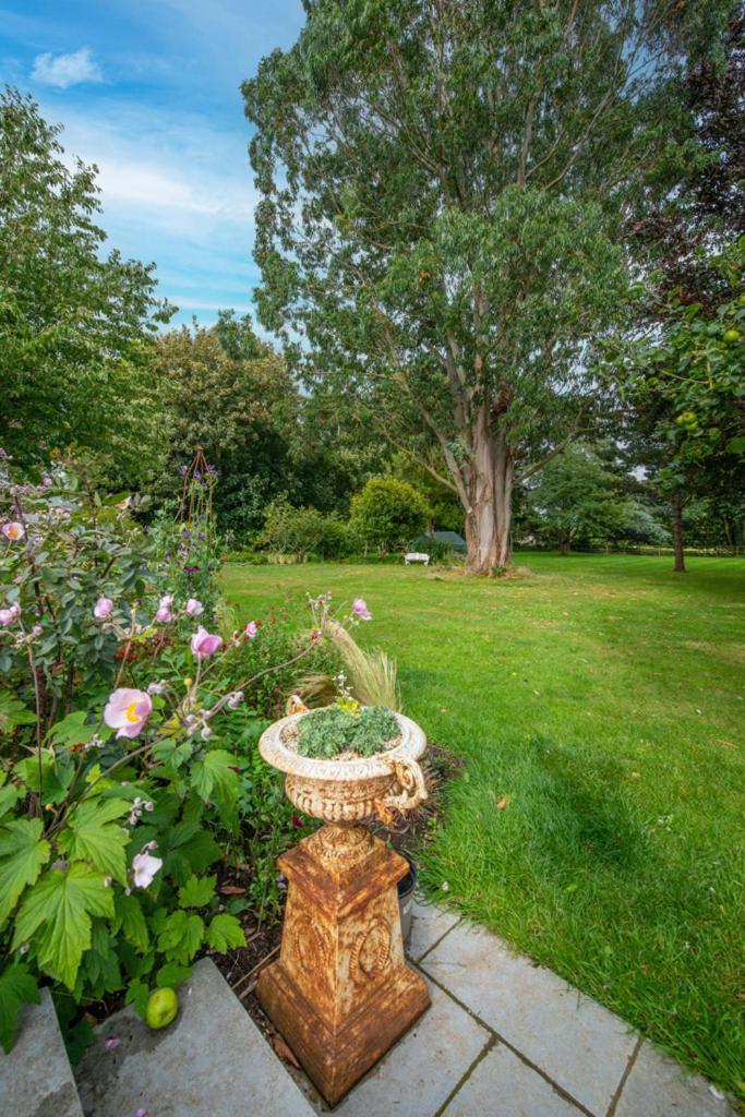 Escape To Ash House 18Th Century Manor In Somerset Martock Extérieur photo